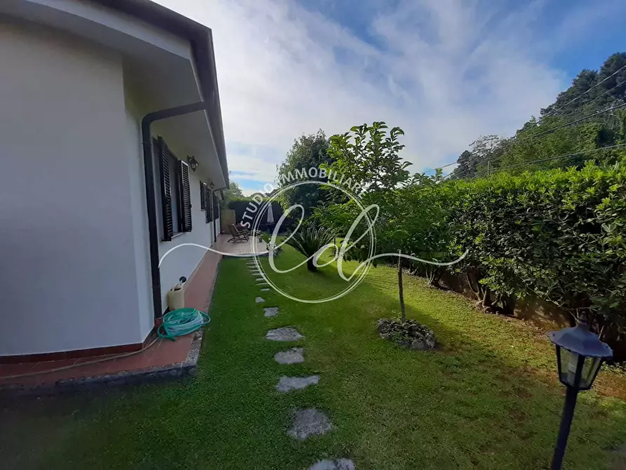 Immagine 9 di Casa indipendente in vendita  a Pietrasanta
