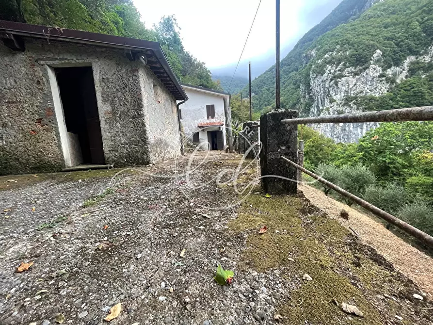 Immagine 27 di Porzione di casa in vendita  a Camaiore