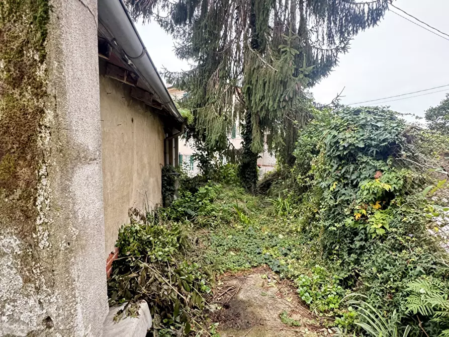 Immagine 28 di Porzione di casa in vendita  a Massarosa