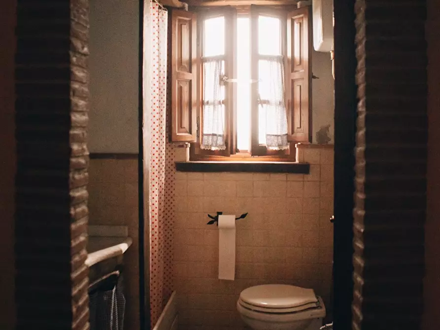 Immagine 15 di Rustico / casale in affitto  a Camaiore