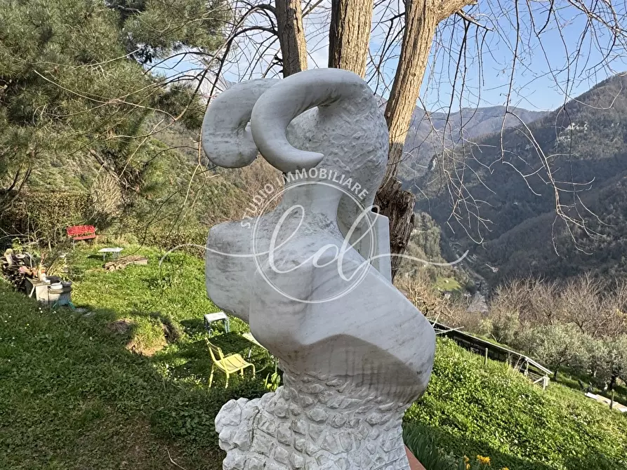 Immagine 68 di Casa indipendente in vendita  a Stazzema