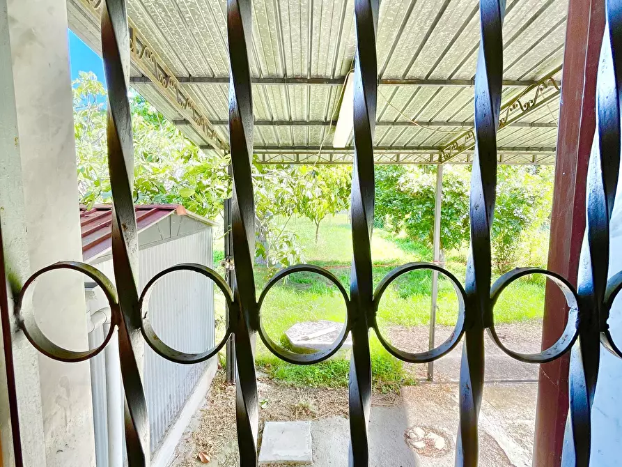 Immagine 35 di Villa in vendita  a Pietrasanta