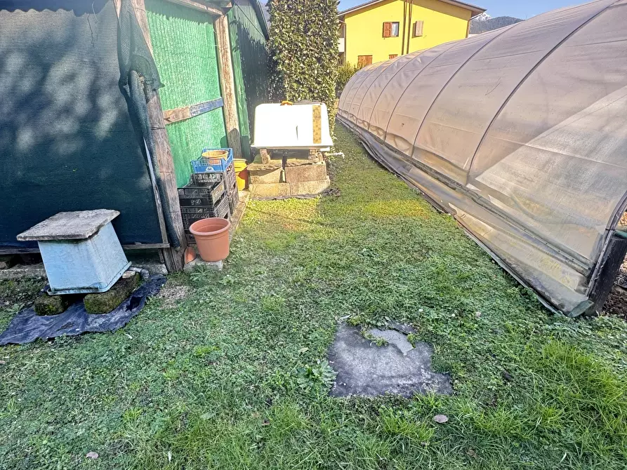 Immagine 12 di Terreno agricolo in vendita  a Pietrasanta