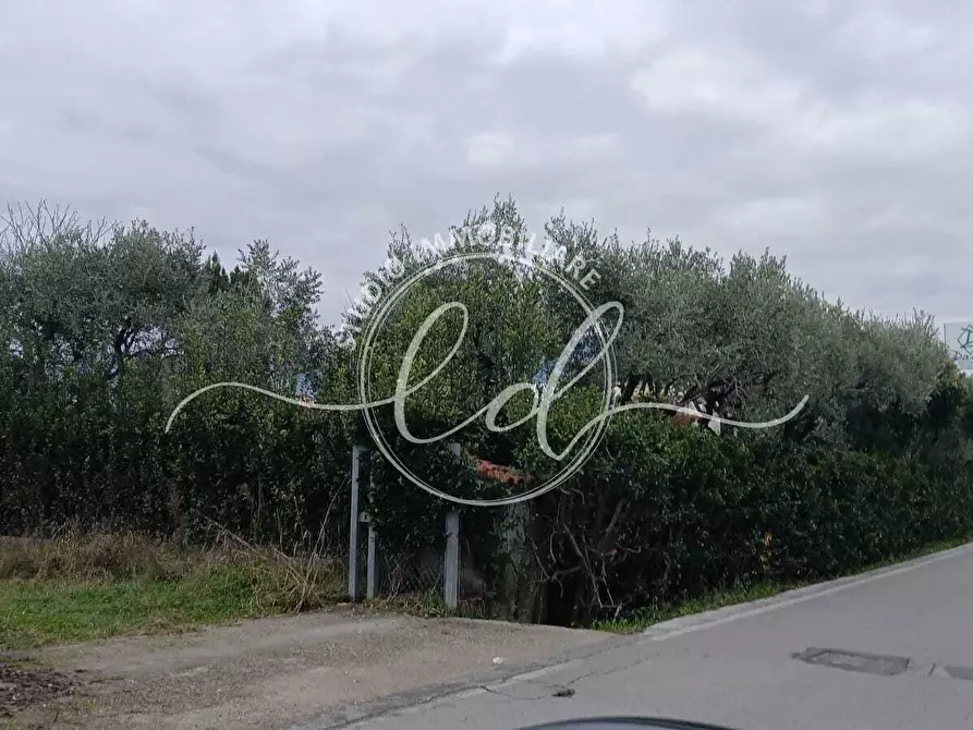 Immagine 12 di Porzione di casa in vendita  a Camaiore