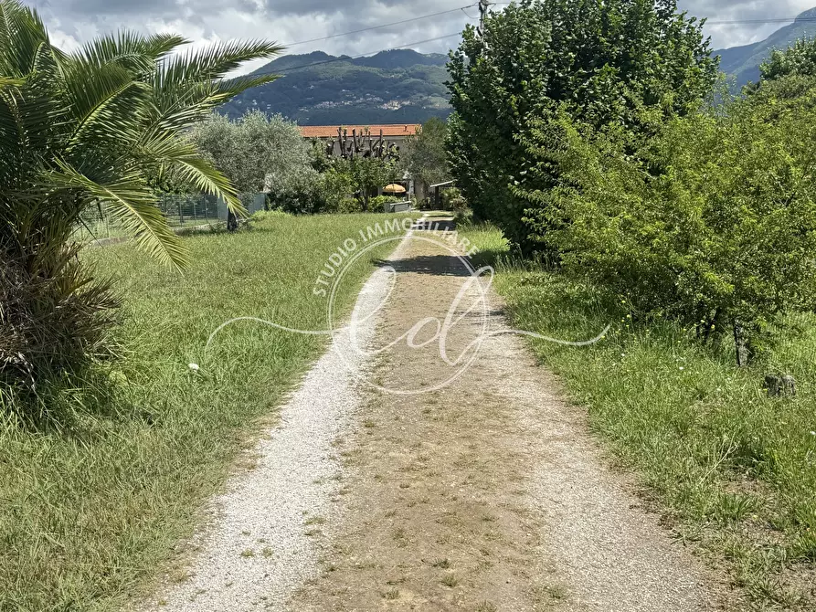 Immagine 2 di Porzione di casa in vendita  a Pietrasanta