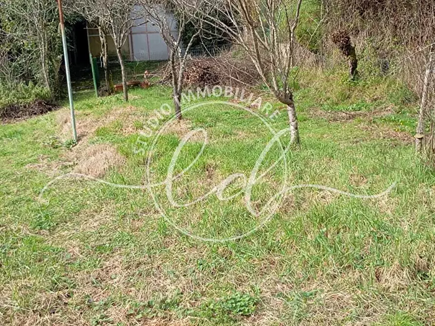 Immagine 33 di Casa semindipendente in vendita  a Camaiore