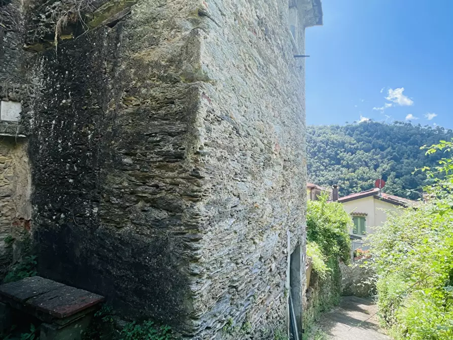 Immagine 14 di Rustico / casale in vendita  a Seravezza