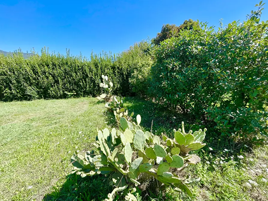 Immagine 2 di Casa indipendente in vendita  a Pietrasanta