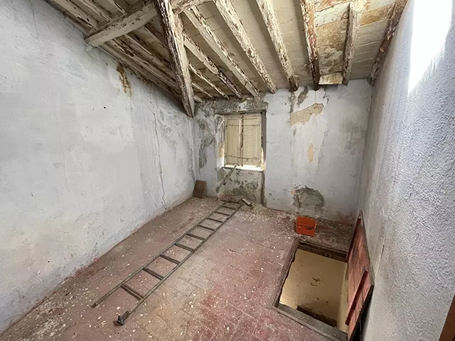 Immagine 27 di Terratetto in vendita  a Seravezza