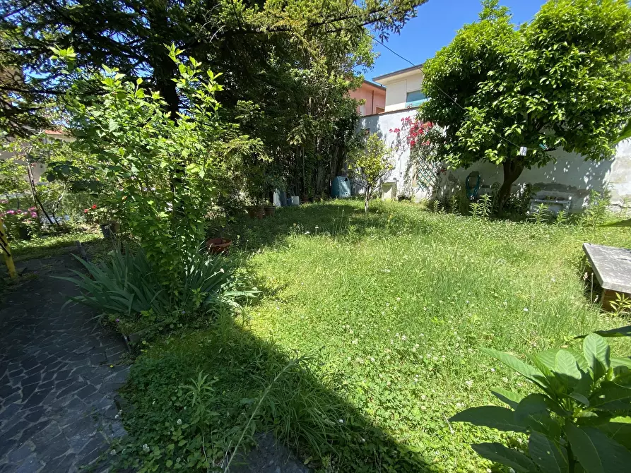 Immagine 17 di Trilocale in affitto  a Seravezza