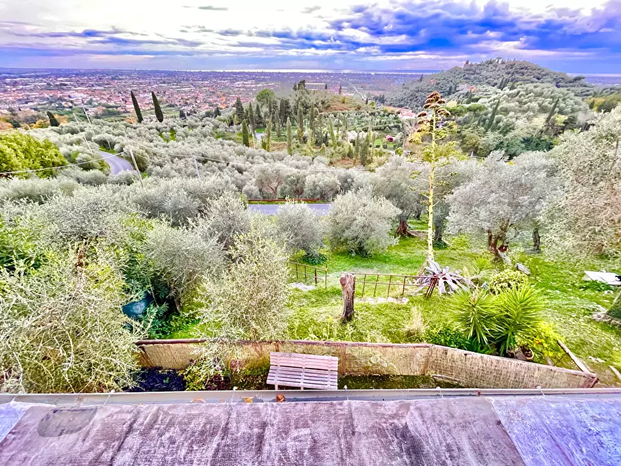 Immagine 65 di Porzione di casa in vendita  a Pietrasanta