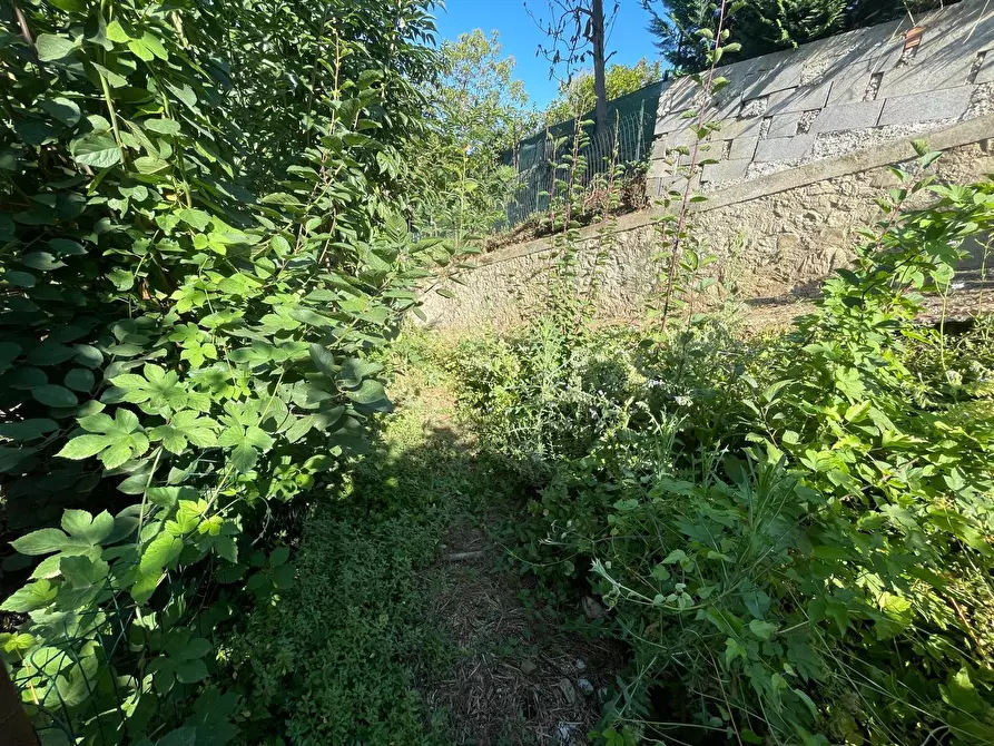 Immagine 28 di Rustico / casale in vendita  a Camaiore