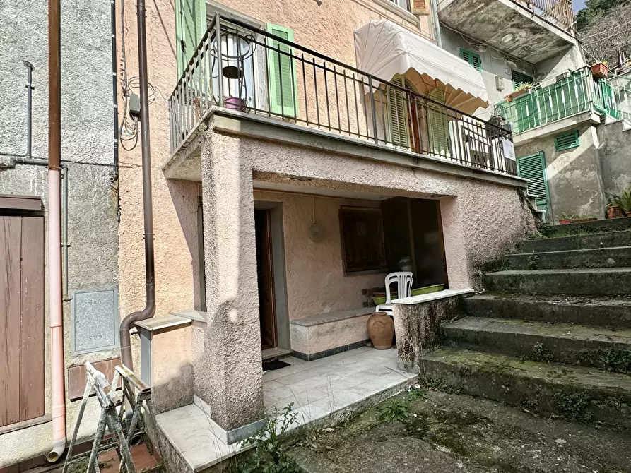 Immagine 24 di Terratetto in vendita  a Seravezza