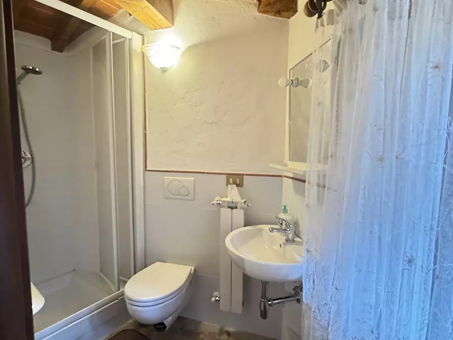 Immagine 32 di Terratetto in vendita  a Camaiore