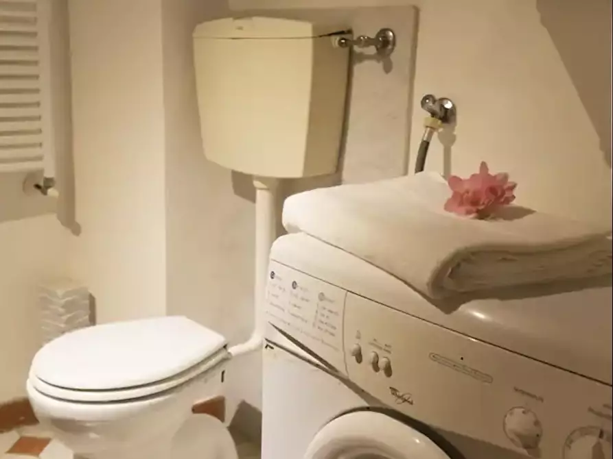 Immagine 20 di Terratetto in affitto  a Pietrasanta