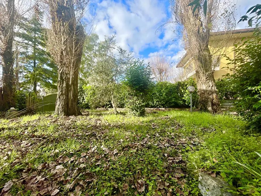 Immagine 3 di Quadrilocale in vendita  a Pietrasanta