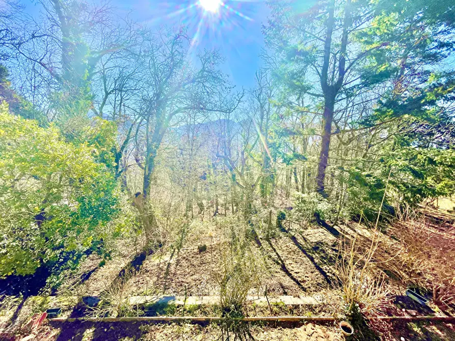 Immagine 29 di Casa bifamiliare in vendita  a Stazzema