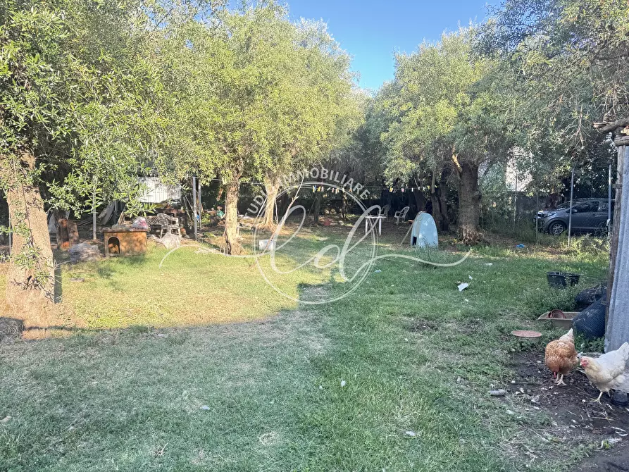 Immagine 19 di Porzione di casa in vendita  a Seravezza