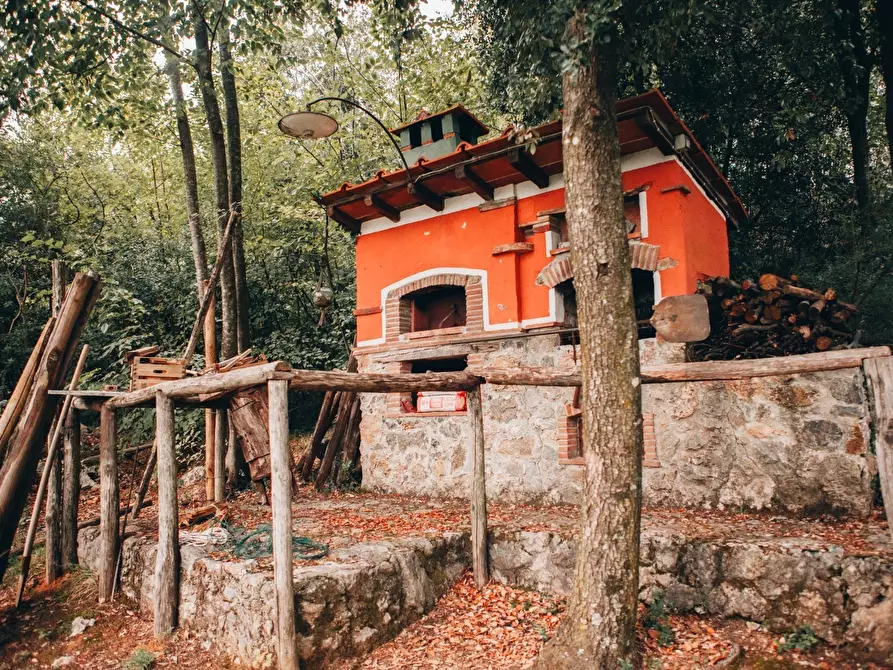 Immagine 2 di Rustico / casale in affitto  a Camaiore