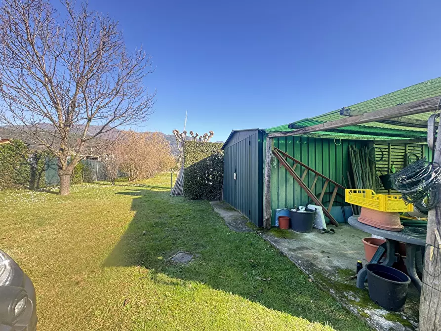 Immagine 14 di Terreno agricolo in vendita  a Pietrasanta