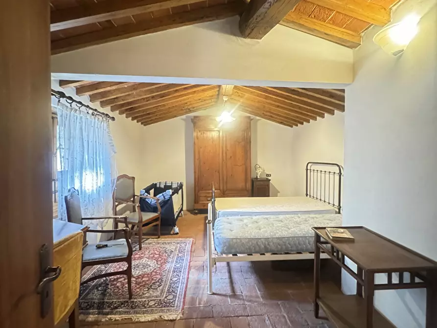 Immagine 34 di Terratetto in vendita  a Camaiore