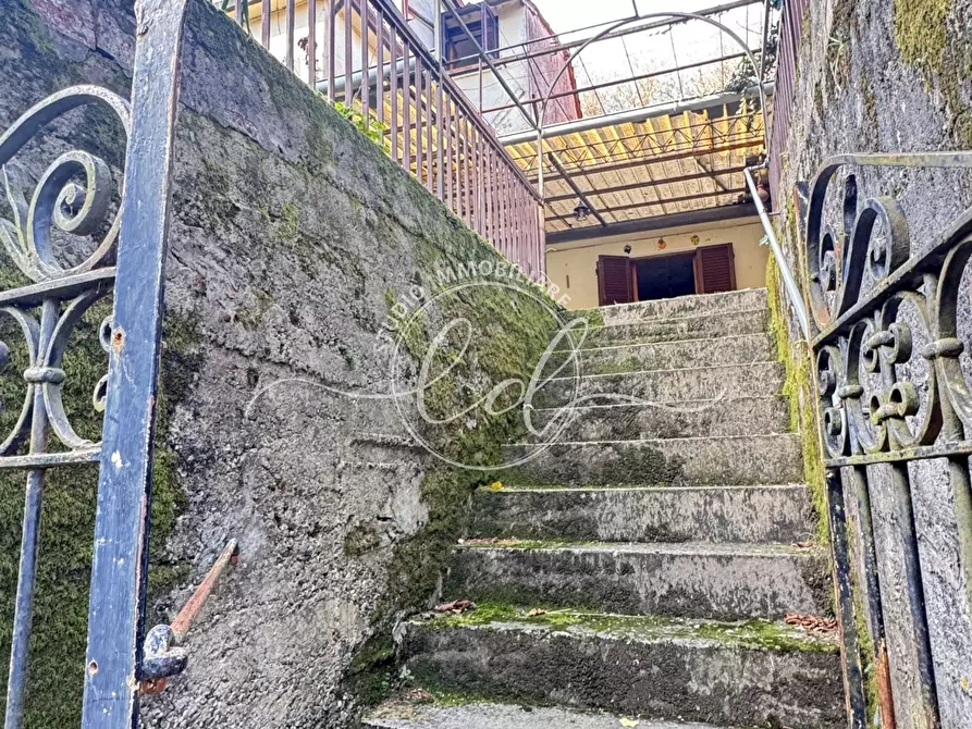 Immagine 2 di Terratetto in vendita  a Pietrasanta