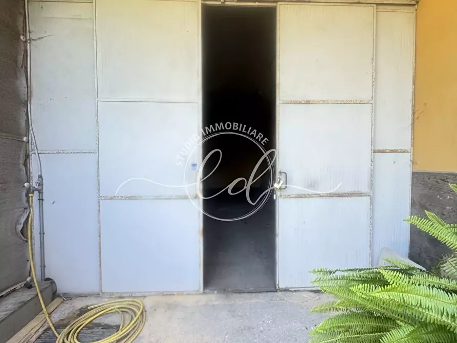 Immagine 1 di Capannone industriale in affitto  a Seravezza