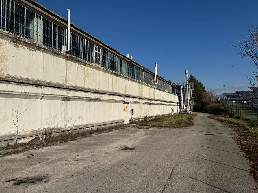 Immagine 20 di Attività artigianale in vendita  in Via ASI 7 15 a Ferentino