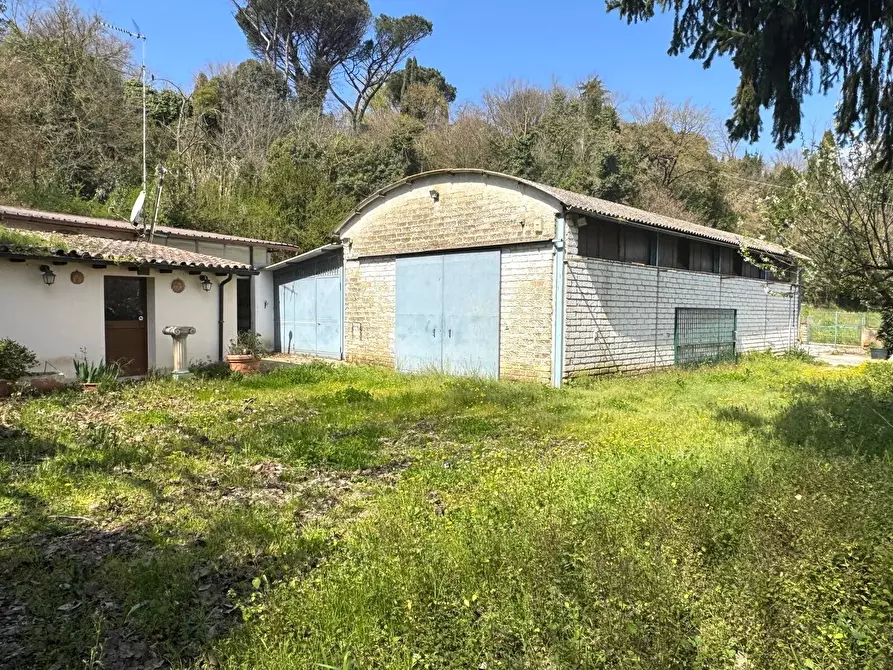 Immagine 2 di Locale commerciale in vendita  in Via Santa Apollaria a Zagarolo