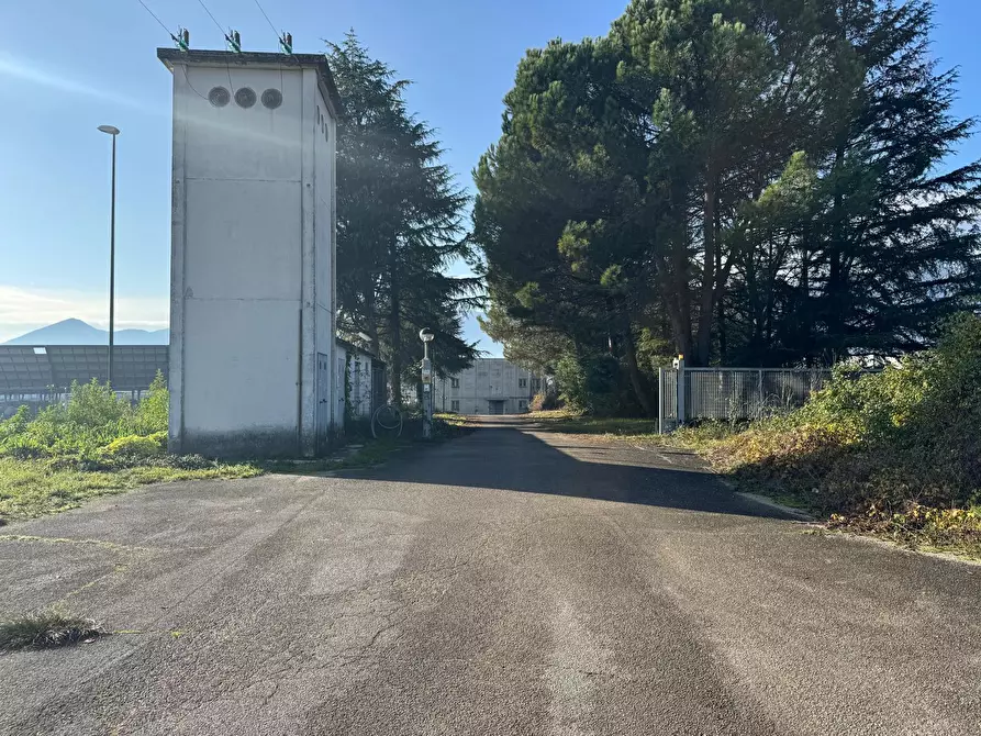 Immagine 18 di Attività artigianale in vendita  in Via ASI 7 15 a Ferentino