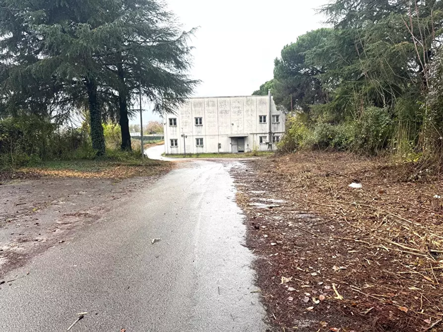 Immagine 9 di Attività artigianale in vendita  in Via ASI 7 15 a Ferentino