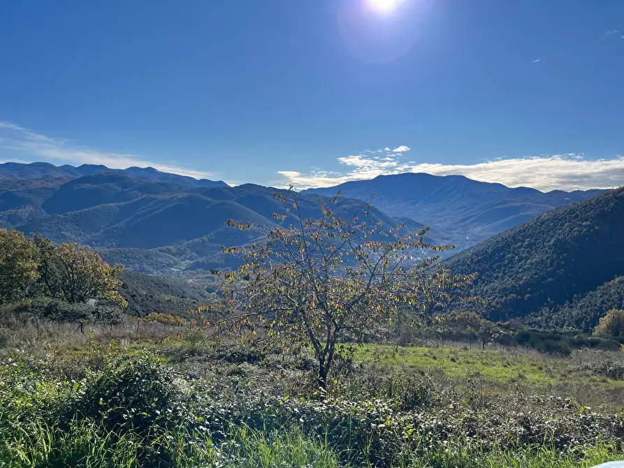 Immagine 13 di Terreno agricolo in vendita  in Via delle Mele a Segni
