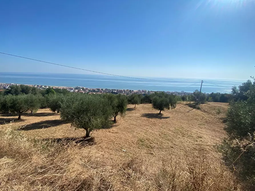 Immagine 26 di Porzione di casa in vendita  in Contrada Stagliano a Silvi