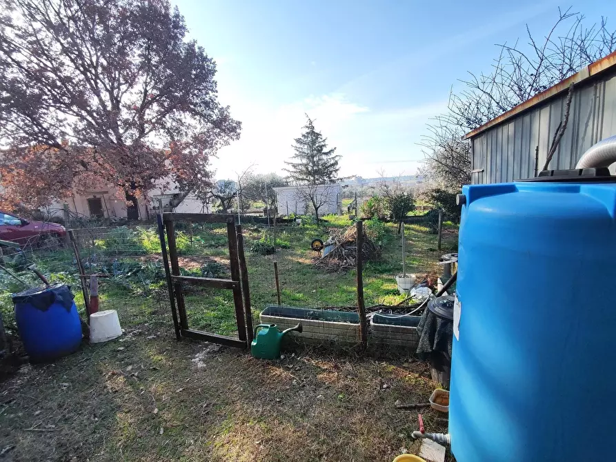 Immagine 4 di Terreno agricolo in vendita  in Via Colle di Mitriano a Guidonia Montecelio