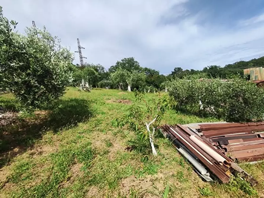 Immagine 19 di Terreno agricolo in vendita  in via monte palombino a Fonte Nuova