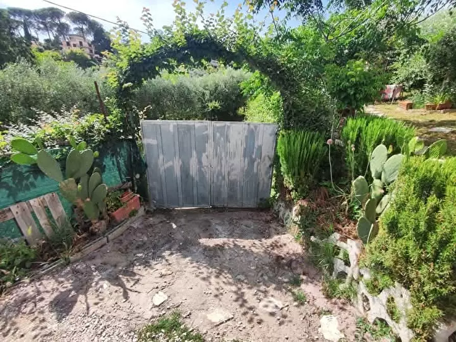 Immagine 2 di Terreno agricolo in vendita  in via monte palombino a Fonte Nuova