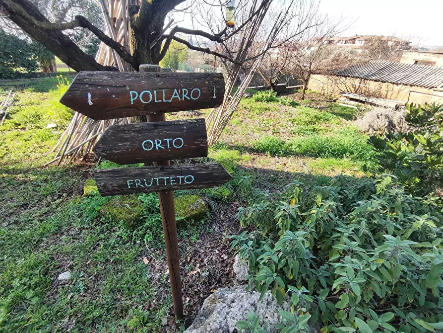 Immagine 1 di Terreno agricolo in vendita  in Via Colle di Mitriano a Guidonia Montecelio