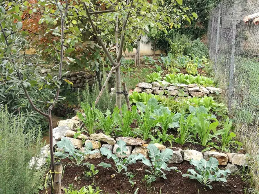 Immagine 28 di Villa in vendita  in Via Giuseppe Verdi 41 a Marcellina