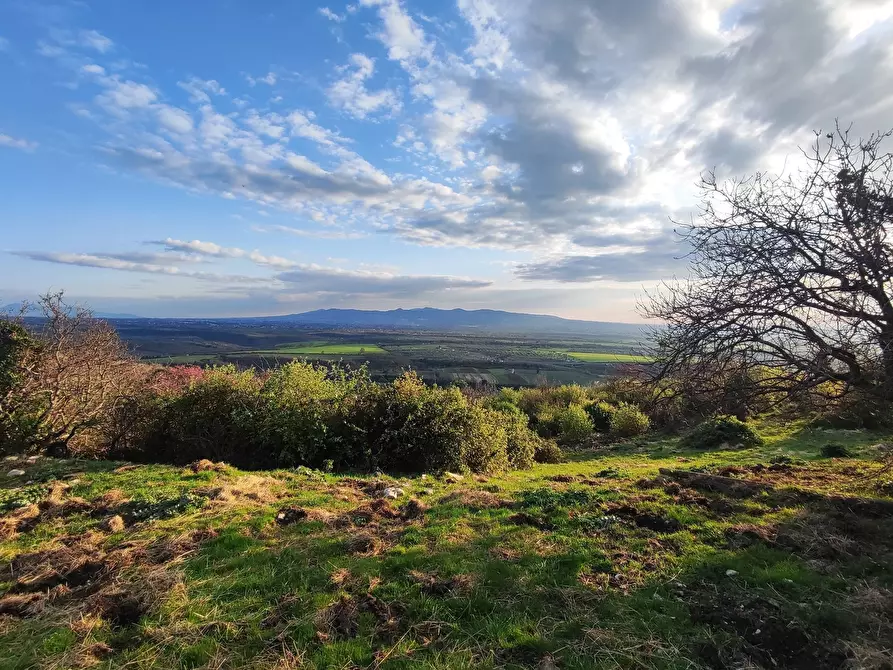 Immagine 7 di Terreno agricolo in vendita  in SP53a 53 a Tivoli