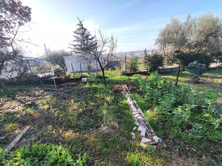 Immagine 25 di Terreno agricolo in vendita  in Via Colle di Mitriano a Guidonia Montecelio