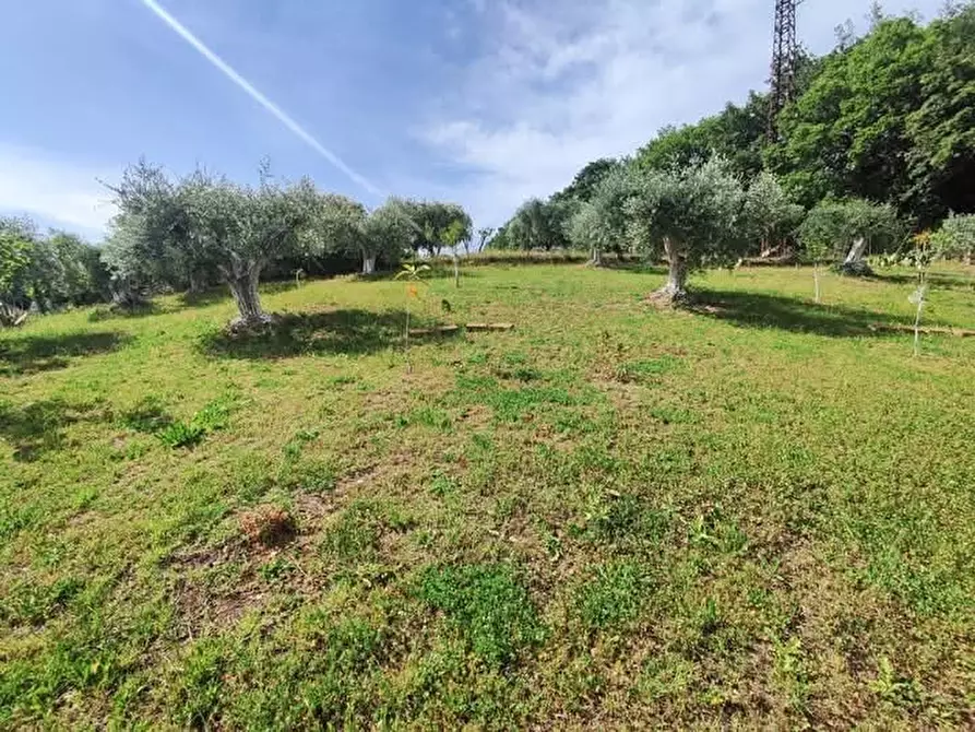 Immagine 16 di Terreno agricolo in vendita  in via monte palombino a Fonte Nuova