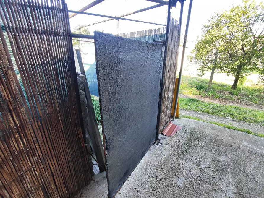 Immagine 6 di Terreno agricolo in vendita  in Via Colle di Mitriano a Guidonia Montecelio