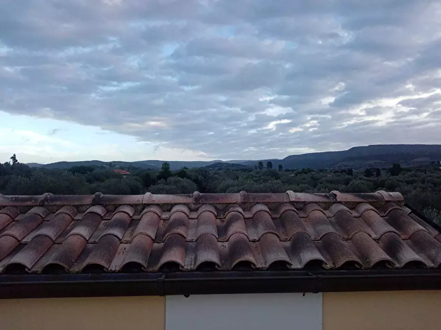 Immagine 16 di Villa in vendita  a Alghero