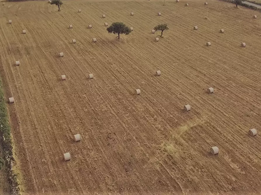 Immagine 14 di Rustico / casale in vendita  in CONTRADA AGUGLIA a Noto