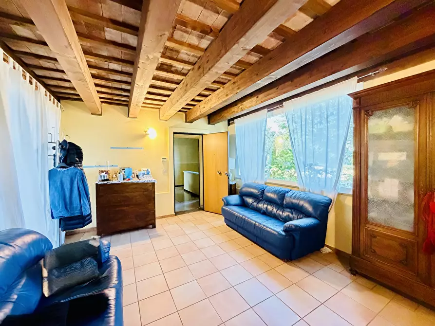 Immagine 31 di Villa in vendita  in vicinale papa 675 a Cesena