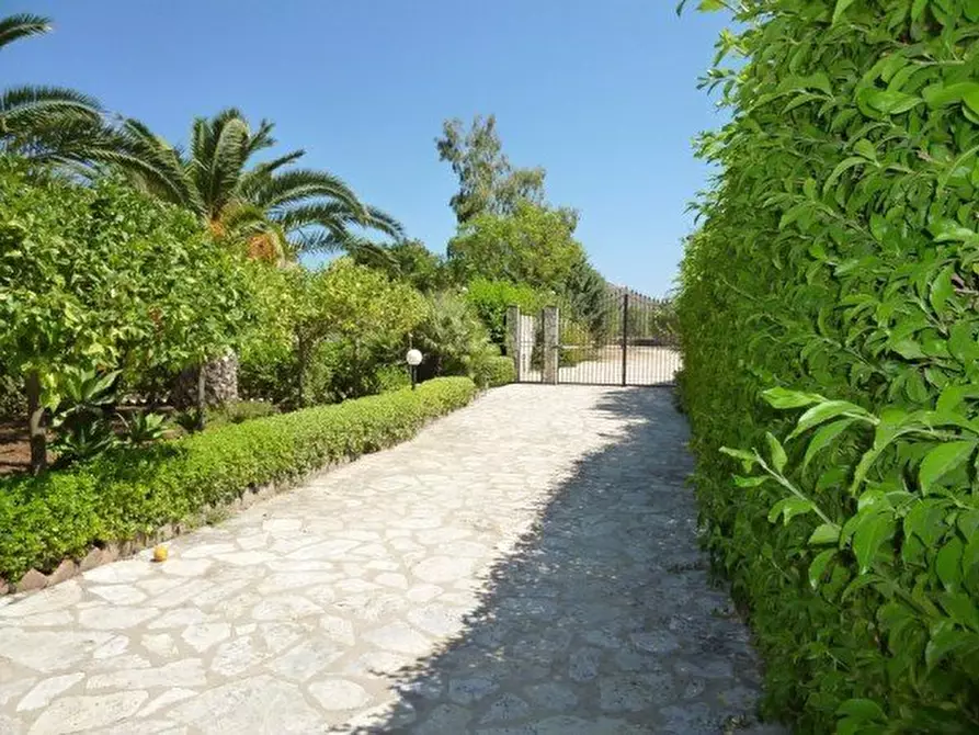 Immagine 5 di Villa in vendita  a Castellammare Del Golfo
