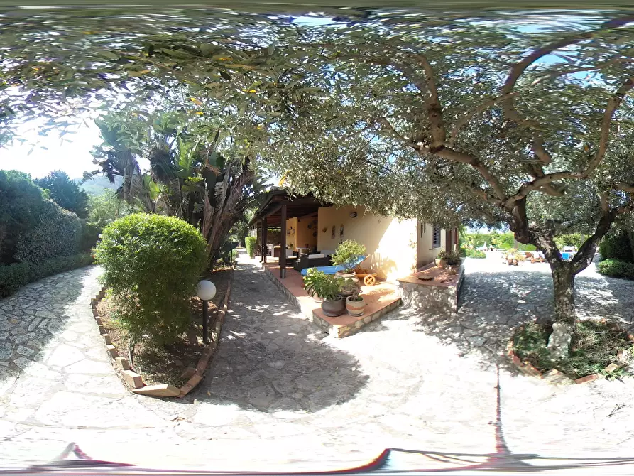 Immagine 99 di Villa in vendita  a Castellammare Del Golfo