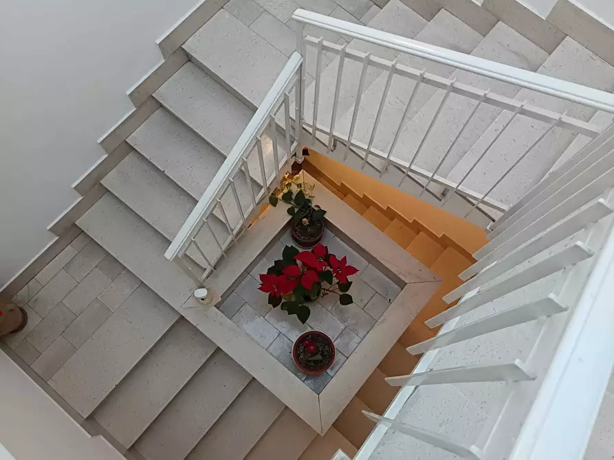 Immagine 36 di Porzione di casa in vendita  a Castellammare Del Golfo