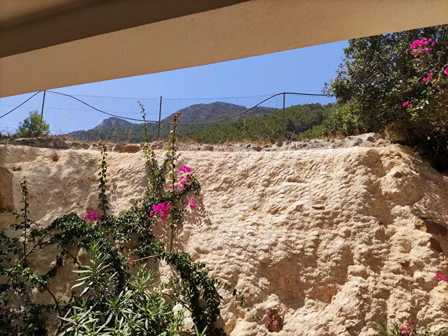 Immagine 5 di Trilocale in vendita  a Favignana