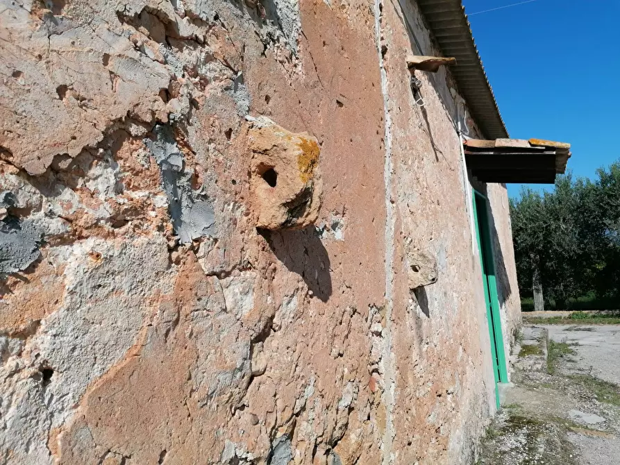 Immagine 4 di Rustico / casale in vendita  a Partinico